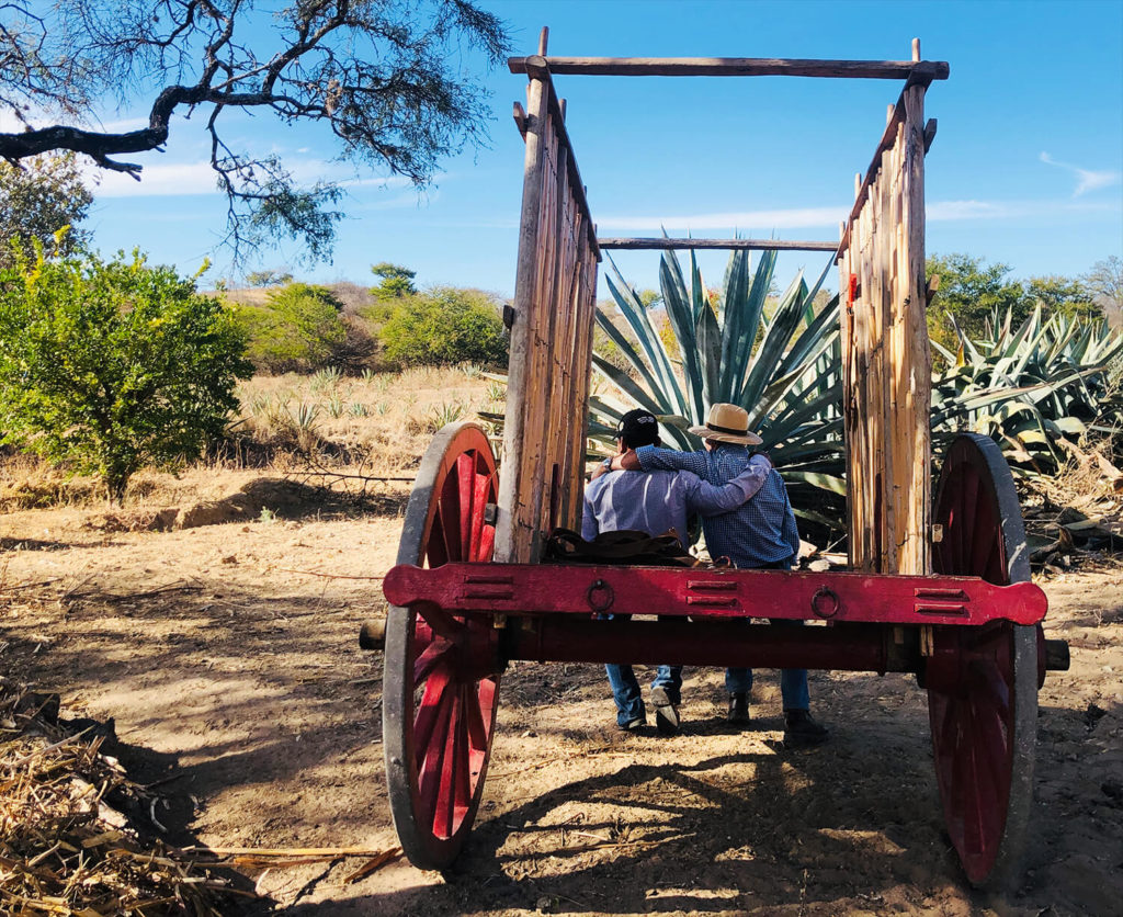 Nosotros Mezcal Santa Fuga